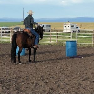 Meet your Posher, Connor